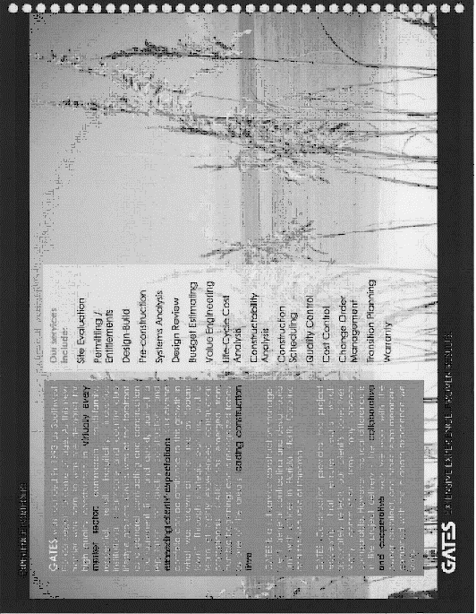 [offeringsancarlosresortfi048.gif]