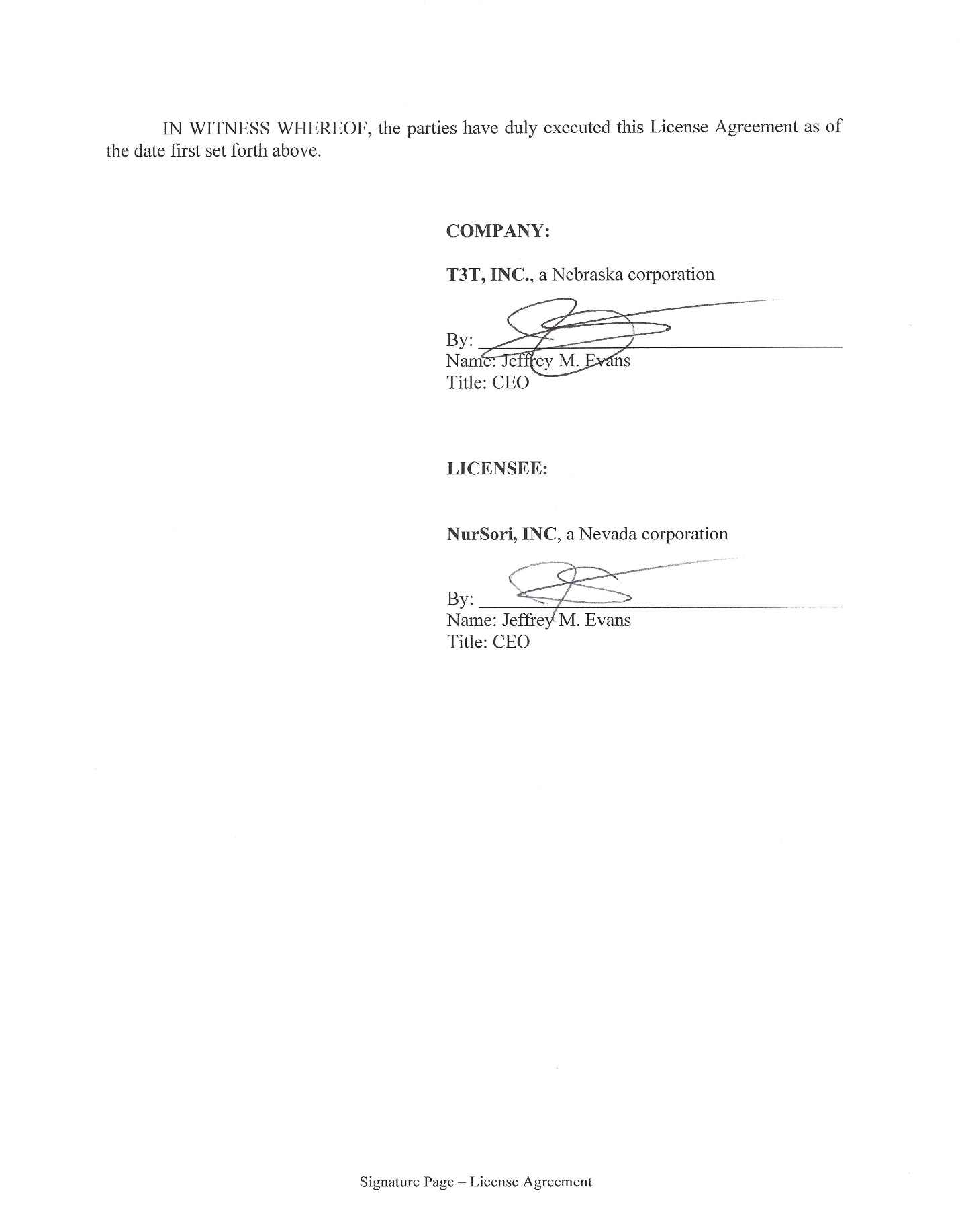 License Agreement_Page_10.jpg